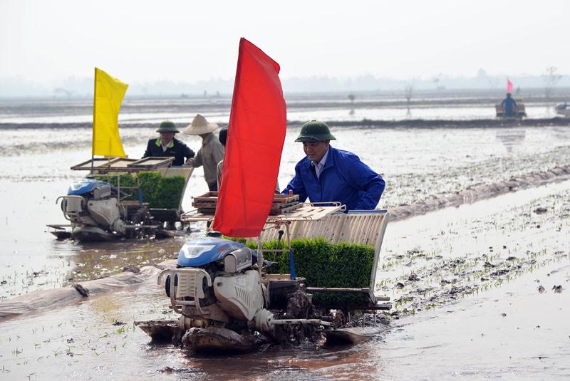 Bí[-]thư,[-]Chủ[-]tịch[-]Hà[-]Nội[-]xuống[-]đồng[-]đi[-]cấy